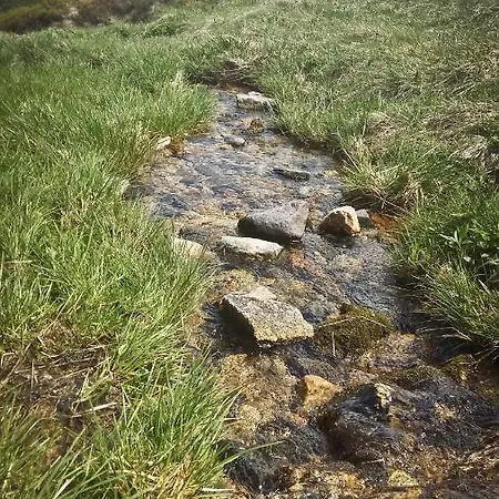 Drewniana Róża Karkonosze Apartament Piechowice (Karkonosze)