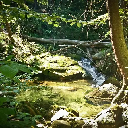 アパート Drewniana Roza I Nad Stawem *