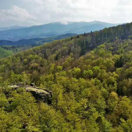 Drewniana Róża Karkonosze Apartamento *