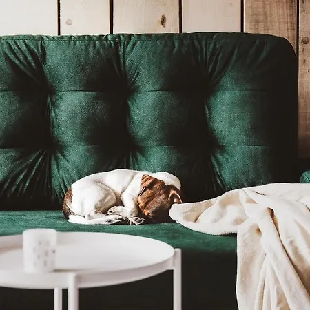 Drewniana Roza I Nad Stawem * ピエホビツェ