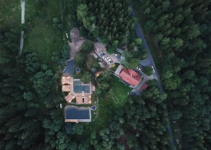 Drewniana Roza I Nad Stawem *