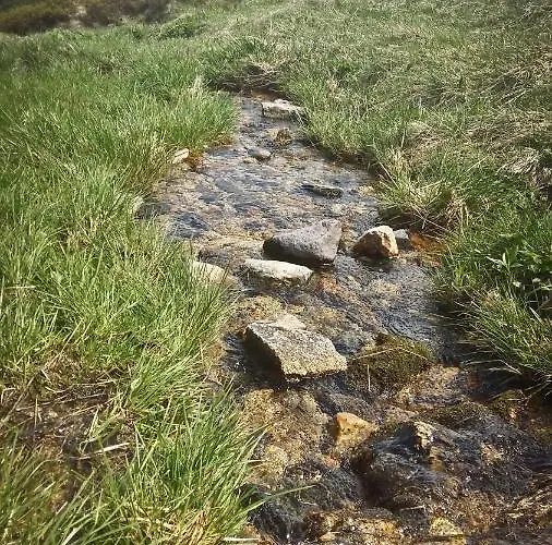 Drewniana Roza I Nad Stawem 公寓 佩霍维采