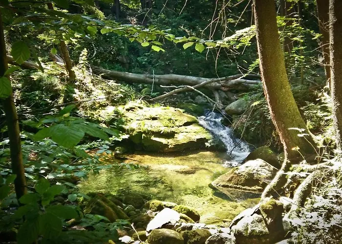 Apartmán Drewniana Roza I Nad Stawem *