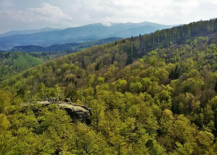 Drewniana Roza I Nad Stawem 公寓 *