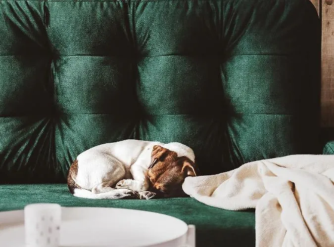 Drewniana Roza I Nad Stawem * 佩霍维采