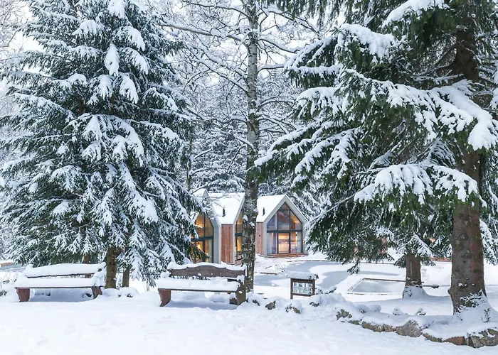 Drewniana Roza I Nad Stawem