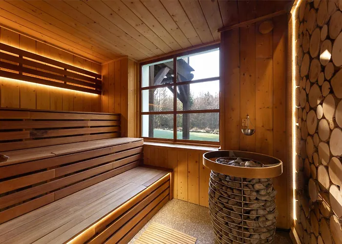 公寓 Drewniana Roza I Nad Stawem 佩霍维采